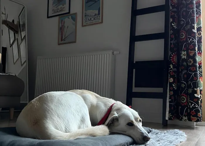 Folkowe Podgorze Apartment Schreiberhau