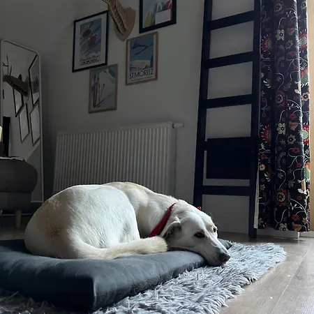 Folkowe Podgorze Apartment Schreiberhau